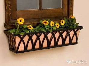 花园窗台上的花盆,什么类型才最适合你