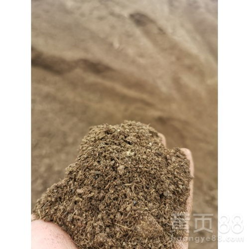 【汕头发酵牛粪】- 黄页88网