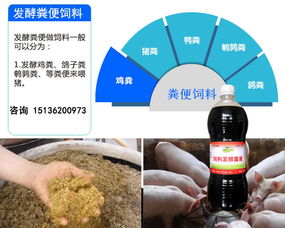 鸡粪发酵之后喂猪能添加多少比例