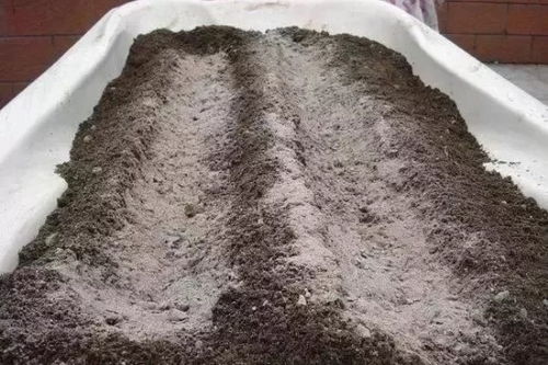 草木灰适合养花吗 草木灰烬养花的使用方法