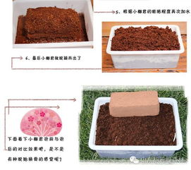 你们买的大块头是这样用滴 你造吗