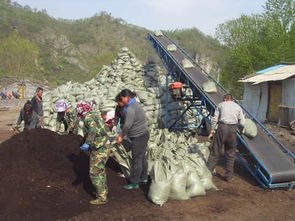 价格,厂家,批发,栽培基质,西丰草炭土基地
