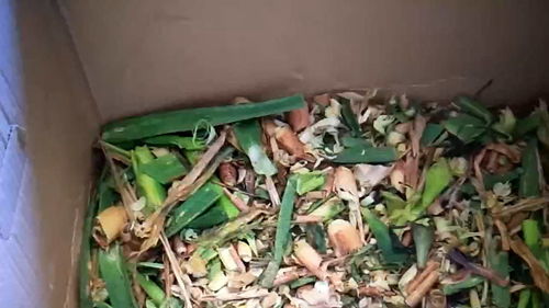 营养土的简单制作方法