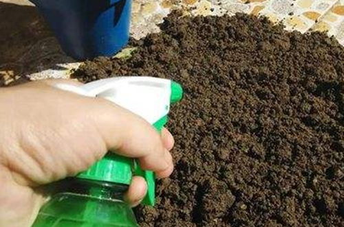 花盆土壤消毒用什么药 土壤杀菌消毒用什么药 图