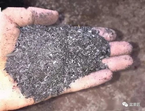 用了千年的 农家肥 ,花卉长势好花量大,但现在城里人都不用