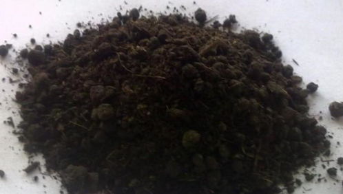 家里的橘子皮不要扔,用它养花有3种 妙用 ,让植物叶绿花多