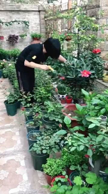 种花人每天有忙不完的事