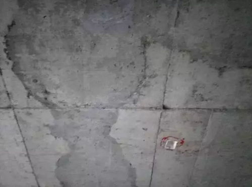 业主们为何因为一个栅栏称自己 眼瞎