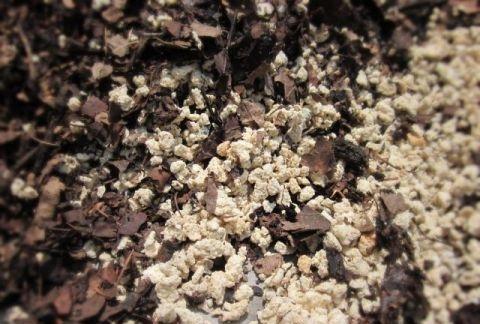 生土种瓜 熟土栽花 植物草虫关于配制植料花土的建议