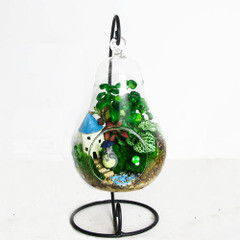 龙猫苔藓微景观生态瓶悬挂吊瓶创意可爱奇特 堆糖,美图壁纸兴趣社区