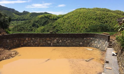 大山深处狂砸60万自建房,被邻居嘲笑浪费钱,完工后打脸邻居
