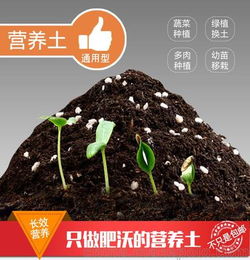 江苏泰州腐殖土价格 草炭土 种植土 营养土