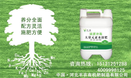 水溶肥生产厂厂家供应,丰农肥业