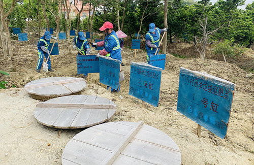 厨余垃圾就地沤肥,这个村做到了