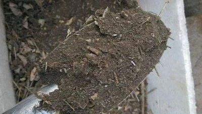 家中养花,配好土,养份足,几种小料掺一掺,扔土里就生根