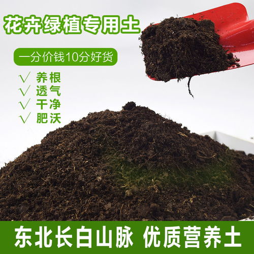 长白山有机营养土通用型花土种菜土种植土肥料土黑土兰专用花土