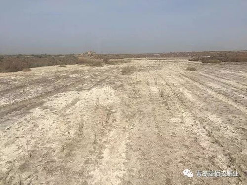既然土壤那么重要, 那么我们该如何保护它呢