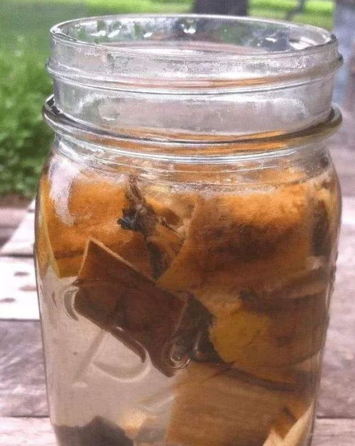 香蕉吃完皮别丢,给盆栽来一口,长得更健壮