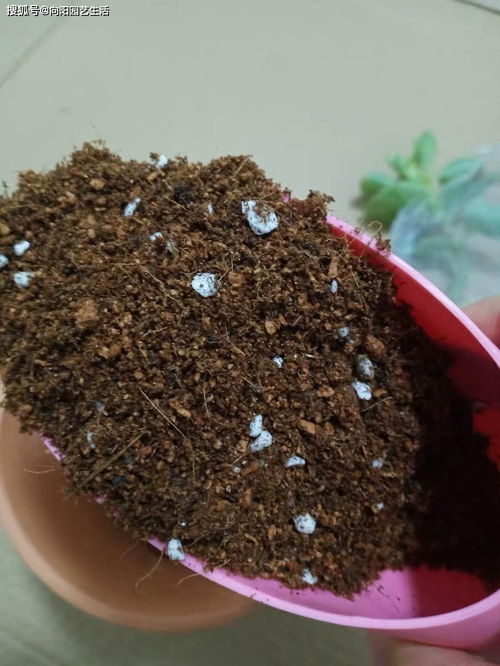 网上, 这种土 卖的很火,便宜质地松软,殊不知 最 不好用
