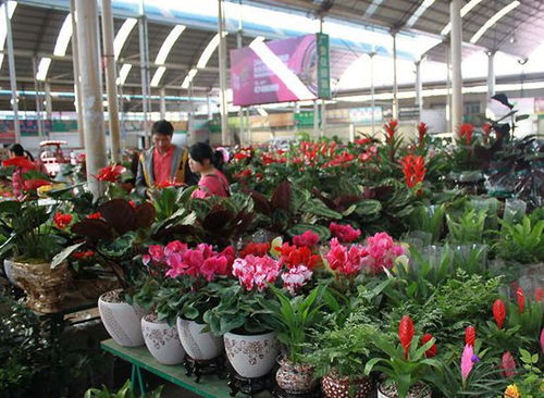 优惠券 十大品牌排行榜 哪个牌子好 元珍商城