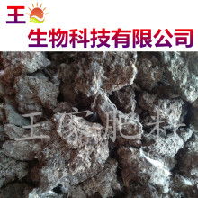 首页 云南昆明力铄经贸公司 主营 酒糟粉 干鸡粪 干牛
