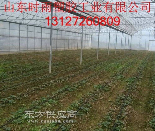 滴灌管公司 200的滴灌管多少钱一米 滴灌管供应图片