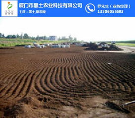 泥炭土批发 厦门泥炭土 黑土农业