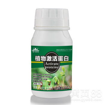 【小麦玉米花生除草剂药害怎么解_除草剂解药害解除方法】-黄页88网