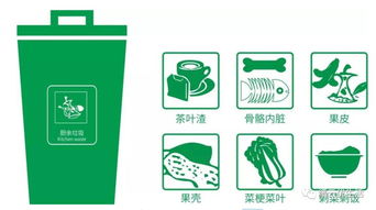 垃圾分类 你究竟知道多少