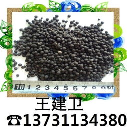 鸡粪干哪有卖的 沈阳周边的