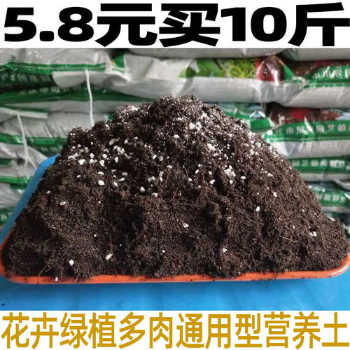椰砖无菌椰粉营养土养花种菜多肉兰花土绿箩吊篮盆栽包邮,一品好特惠 