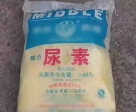 广西农民种一亩田可以得多少钱 算完后泪崩了...