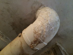 请问这个叫什么东西 是下水道漏水导致的,马桶里面有这种东西这么去除