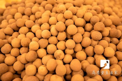 龙眼 和 桂圆 是同一种食物吗 为啥名字差好多