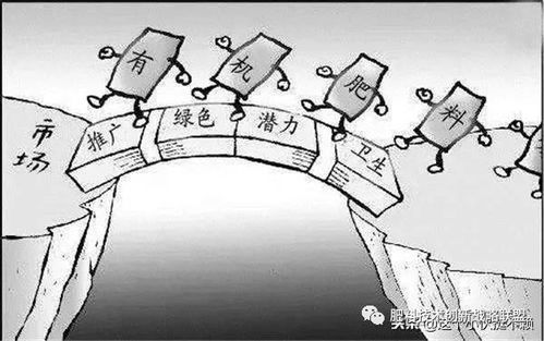 有机肥厂国家有什么扶持政策