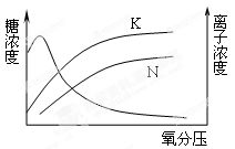下图表示根细胞液中三中物质随氧分压变化的曲线.下列说法不正确的是 A.都是通过主动转运从土壤中吸收来的 B.浓度变化不会影响到细胞吸水 C.糖的降低于K.N的增加没有关系