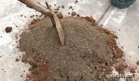 夏天去河边,挖点 不值钱 它,用来养花刚刚好,堪称 万能土