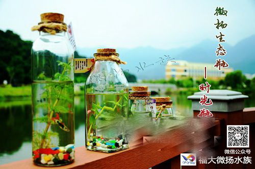 福州大学学生创业产品 微扬生态瓶 图