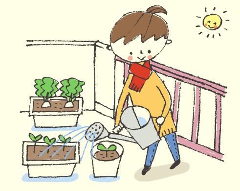 天气变热入伏后,植物浇水有原则,了解2点,避免植株烂根死亡