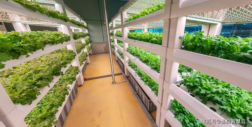 智能水肥一体化控制系统的应用价值,水肥一体化节水灌溉