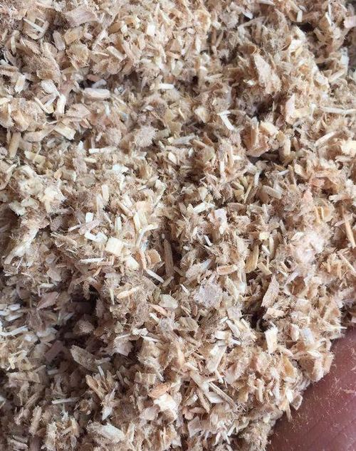 养好兰根,除了苔藓,还有这种料