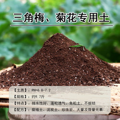 营养土花土花肥营养土花盆土种菜多肉绿萝种兰花通用养花草盆景土