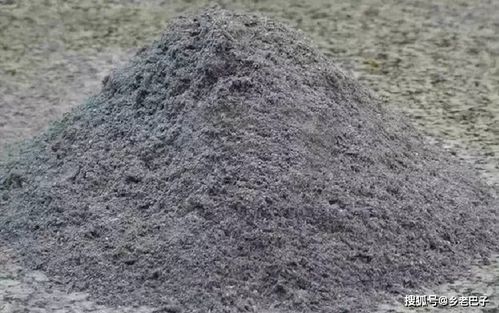 草木灰真能让红薯高产吗 现在谁家还有,用这个小东西照样能高产
