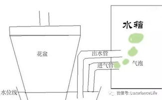 介绍几款自动注水DIY花盆 放长假也不怕啦 