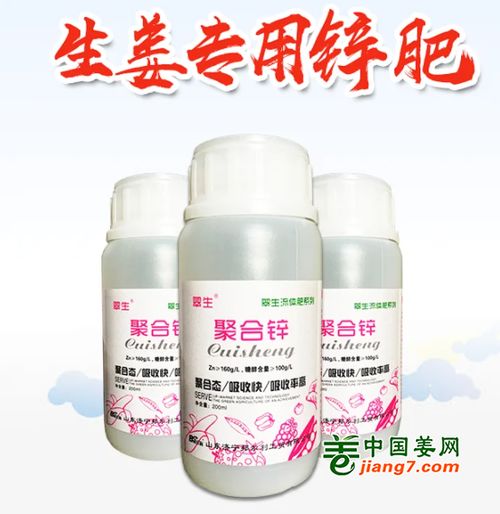 如临大敌 许多人的生姜已经 中招 了,现在应对还不晚