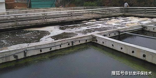 四川某养猪场废水处理现场勘察