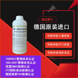 草莓土壤消毒杀菌技术及预防棚内空气污染土传病重茬障碍论述
