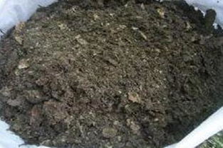 在家自制腐叶土全过程,简单方便不花钱还用得放心