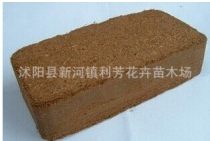 晚樱花树苗厂商公司 2023年晚樱花树苗最新批发商 晚樱花树苗厂商报价 虎易网