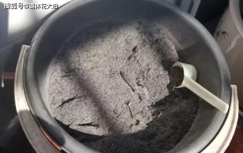 当盆栽状态不佳时,别烦恼,用好草木灰,黄叶不再是问题
